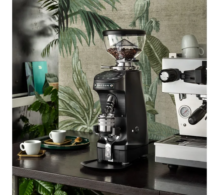 Mazzer Mini G