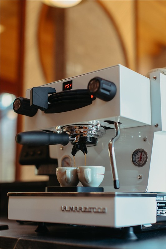La Marzocco Linea Mini R — paddle, timer en zetgroep
